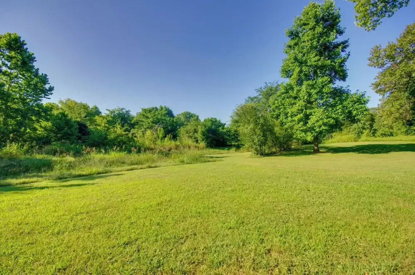 Tranquil Mid-century Modern Cottage w/ Forest View