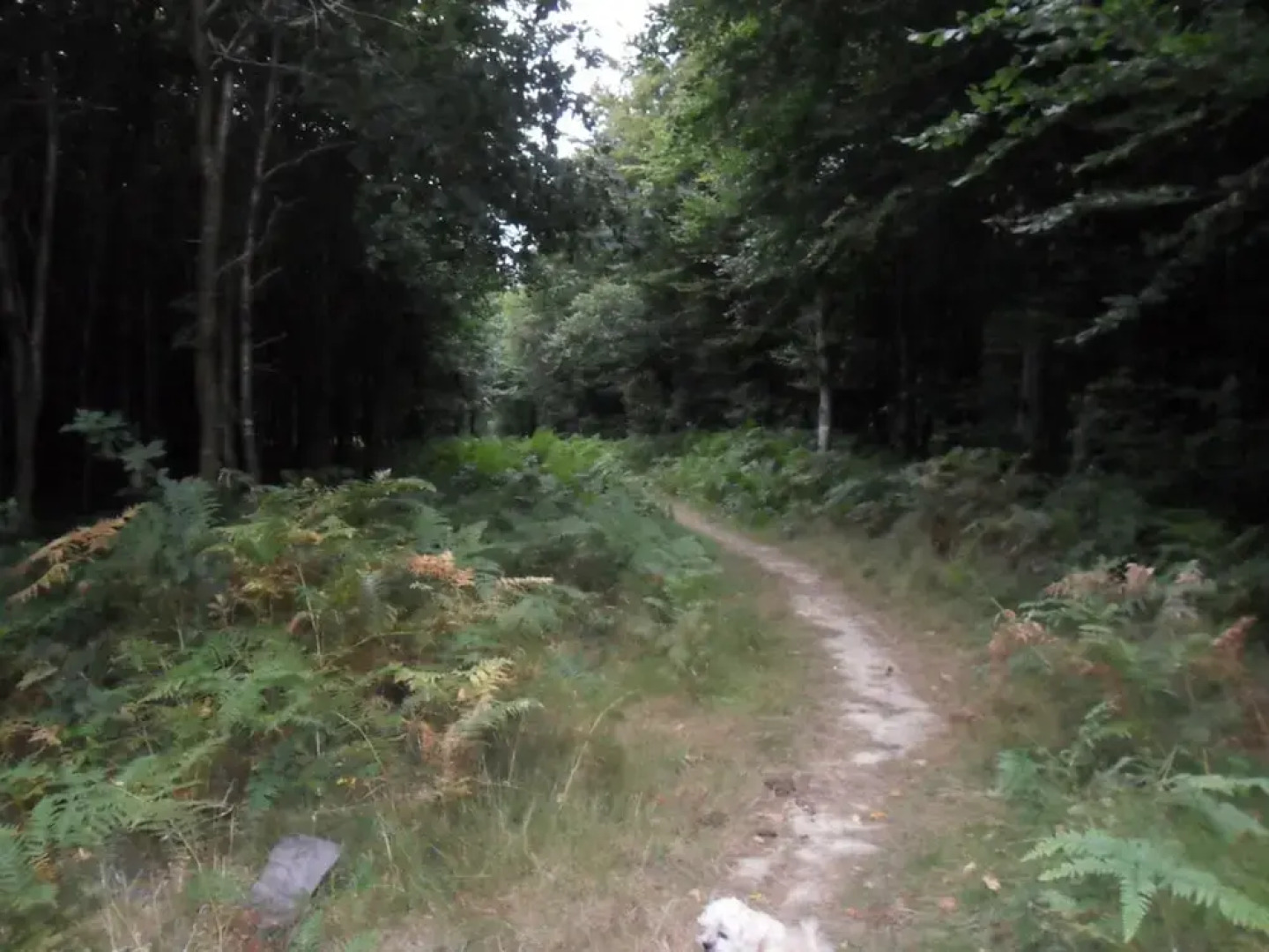 Property With 2 Bedrooms in Litteau, With Pool Access, Furnished Garden and Wifi - 40 km From the Beach