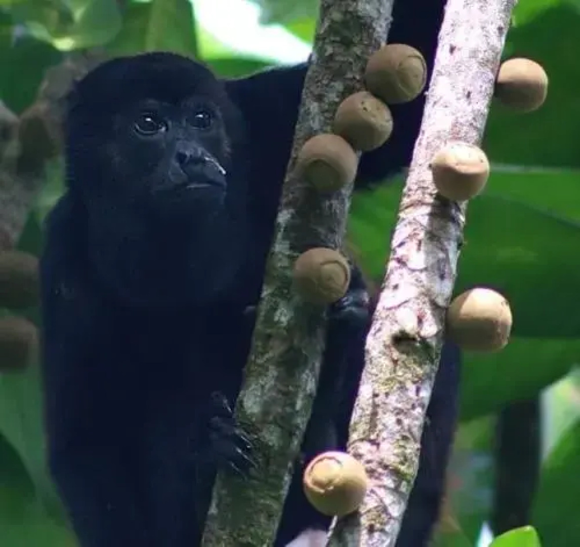 Boatique Hotel and Marina