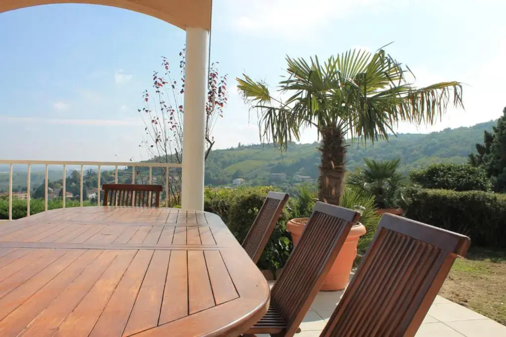 Wine Passion Panoramic