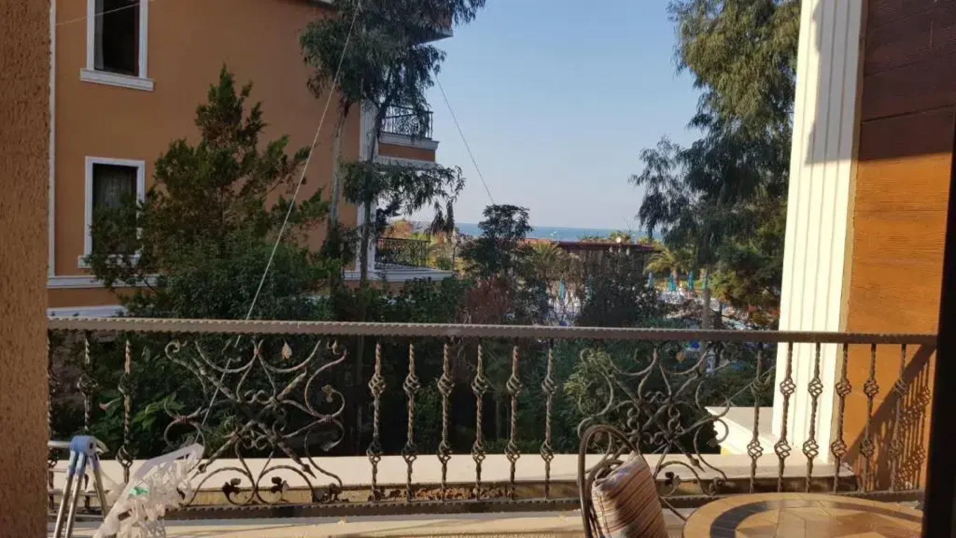 Dreamland Oasis Chakvi 0507