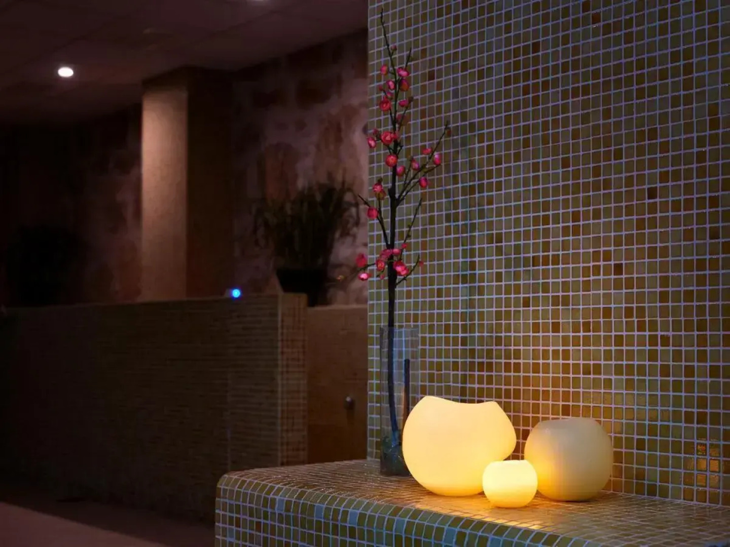 Palacio del Infante Don Juan Manuel Hotel Spa