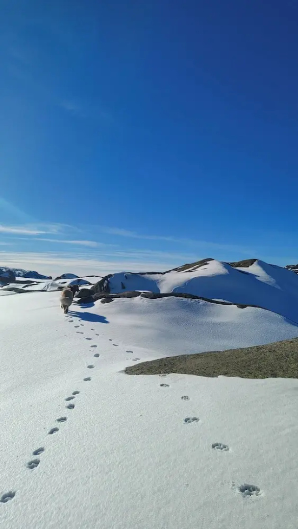 Lugar da Pedra Alta