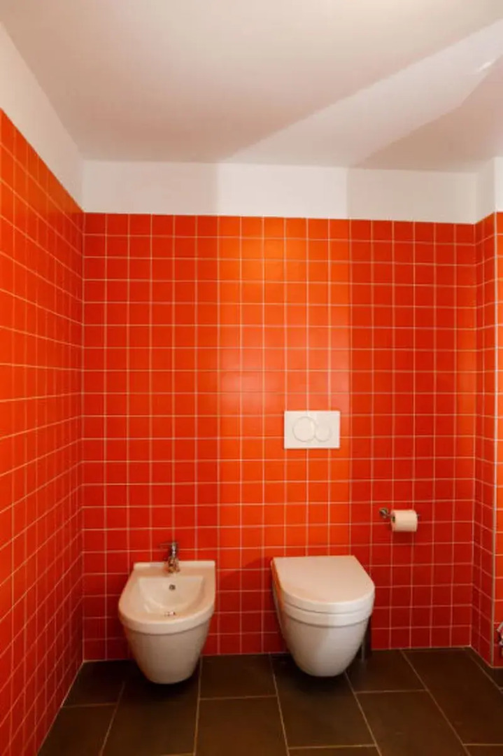 Cjase Fravins (RVO113)