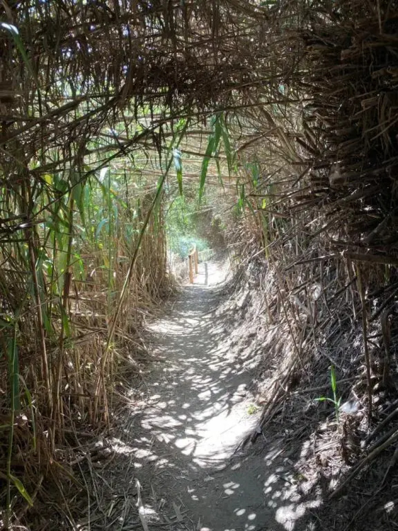 Casa do Brejão 1 bedroom cottage