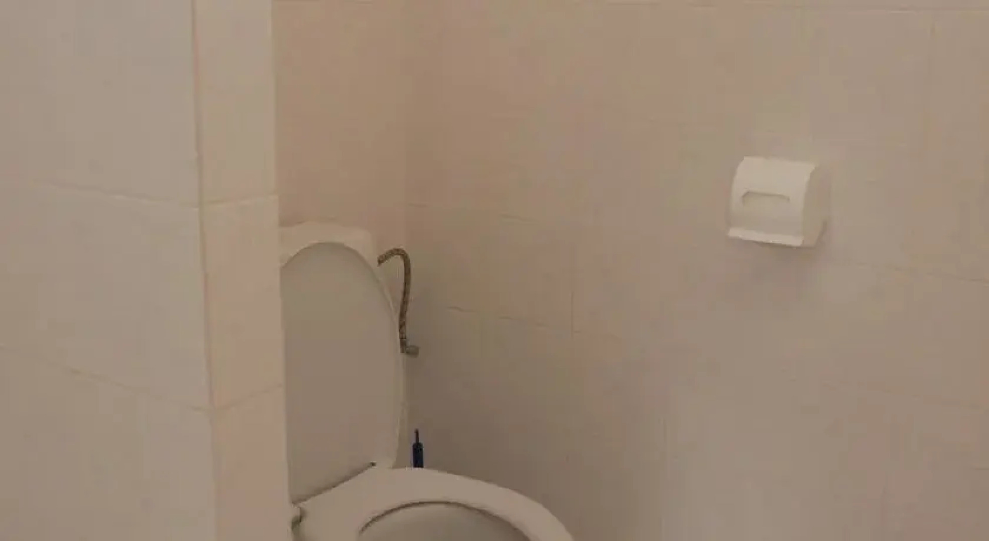 Sumavsky Dum U Cechu