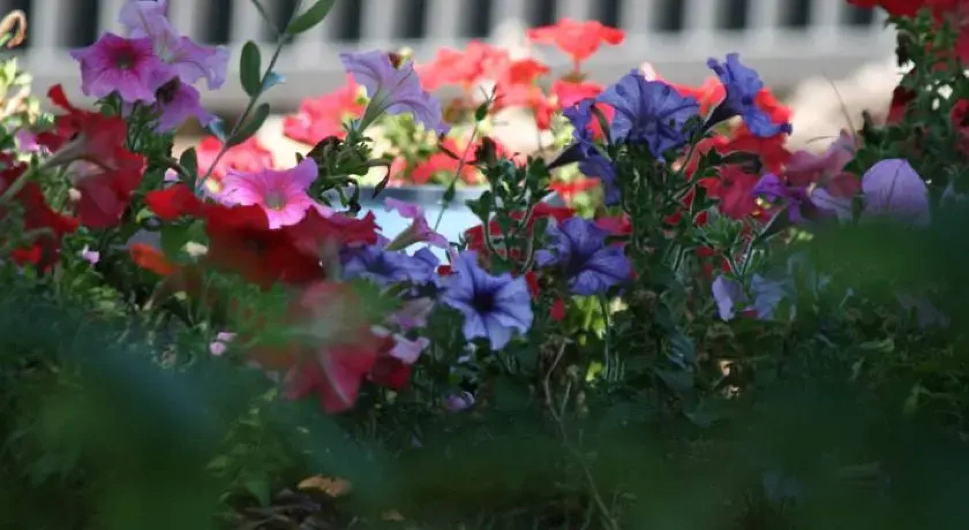 B&B BCN-Collbató Natura