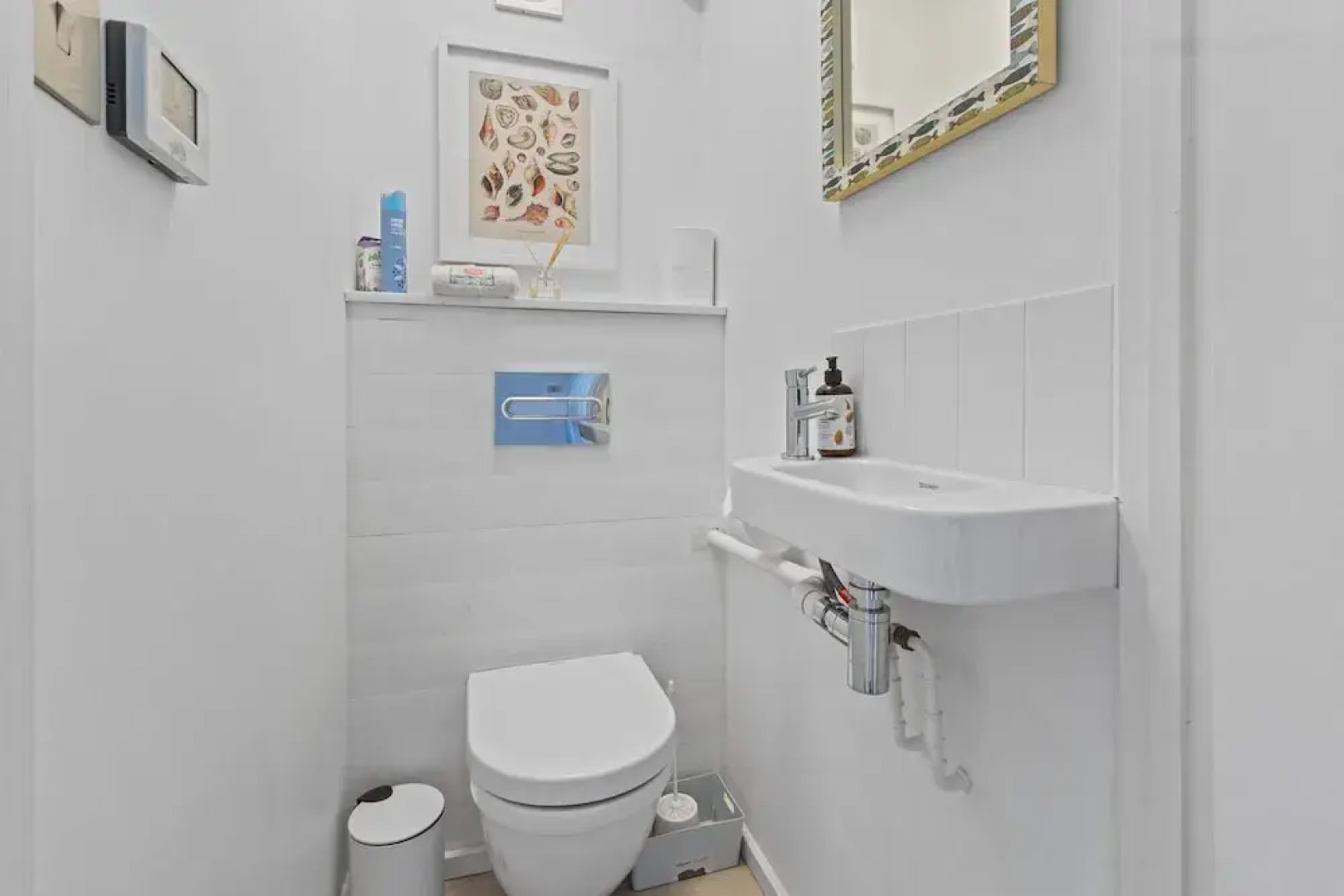 Seashells-stylish Coastal Living