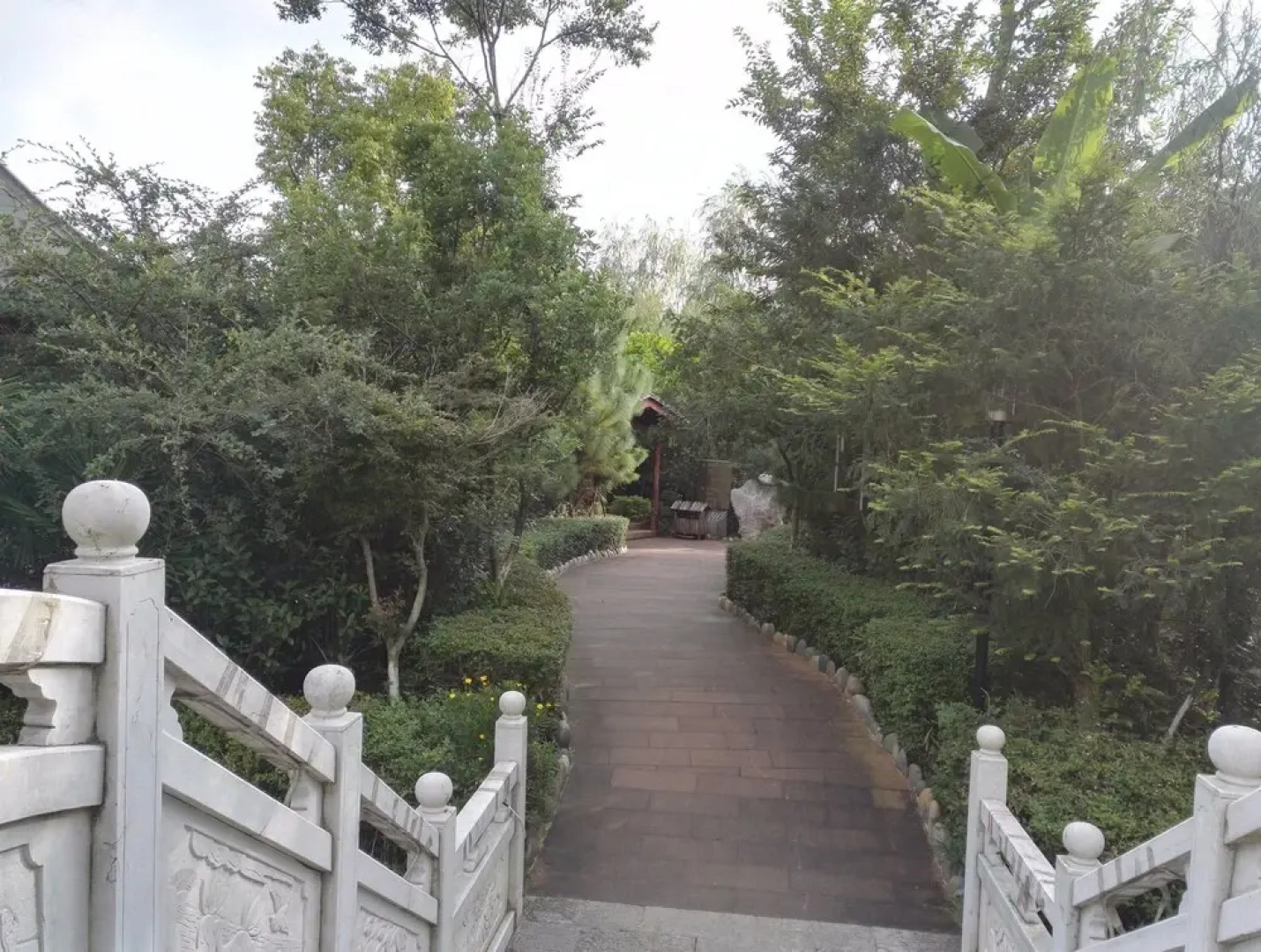 Chinese Yew Lake Hotel