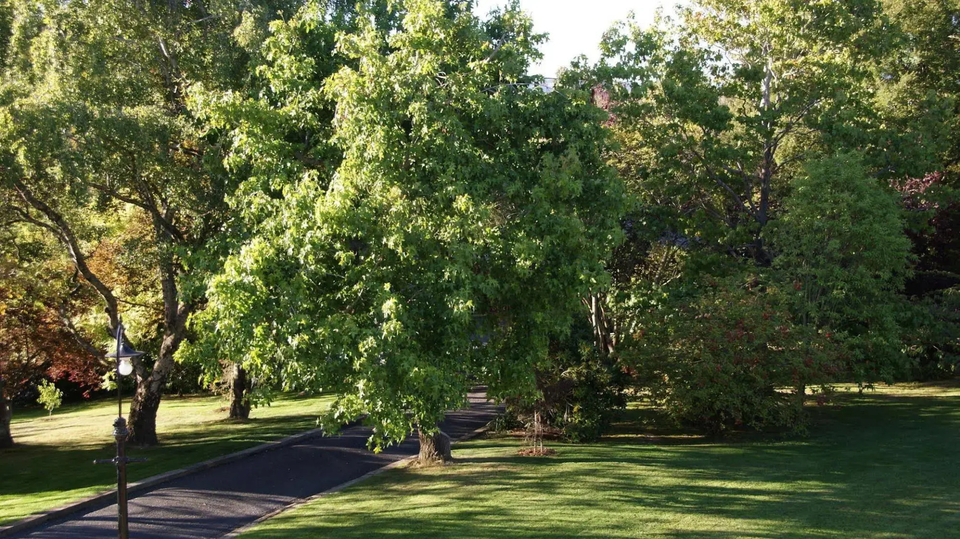 The Birches Bed & Breakfast