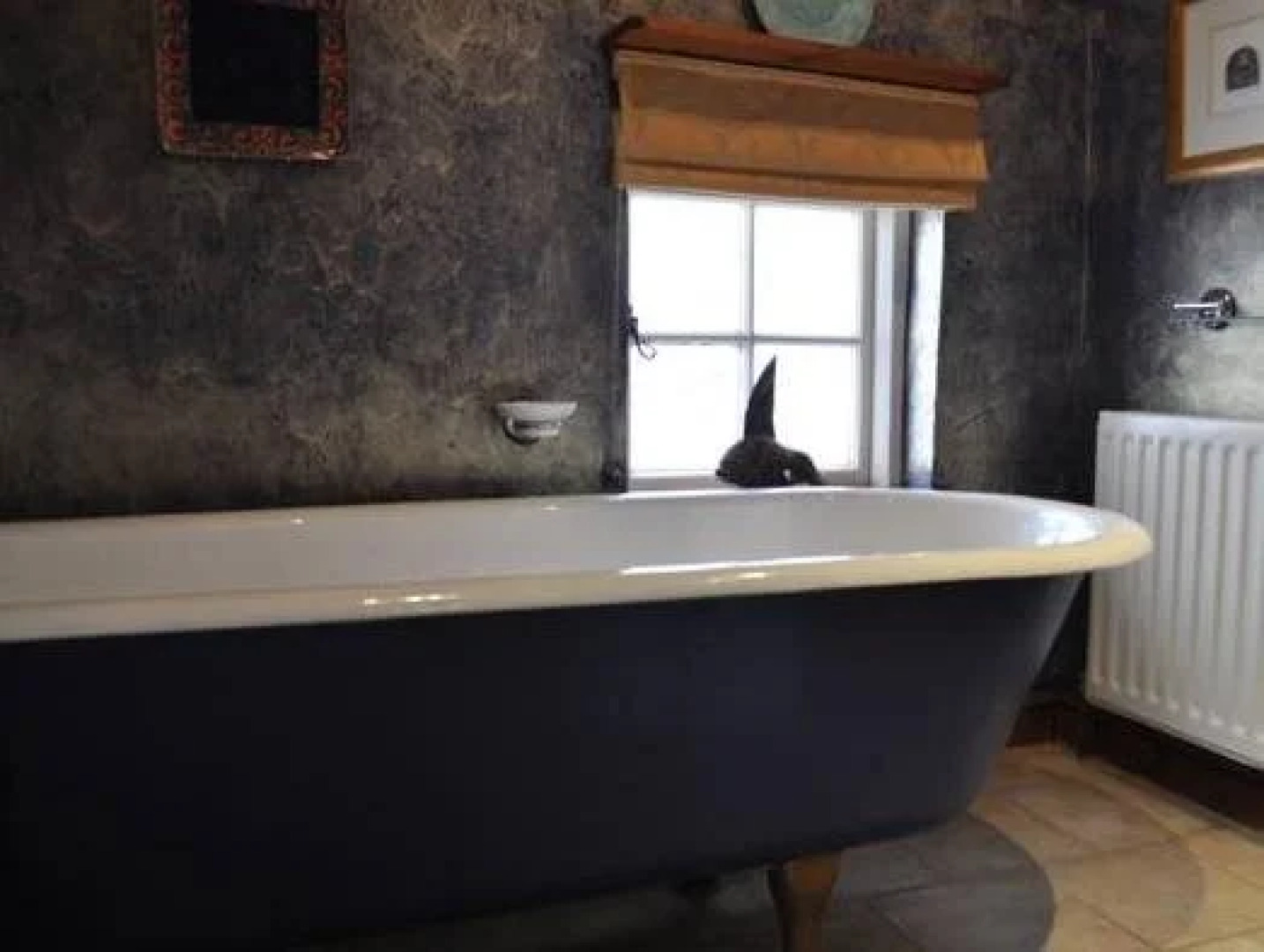 Old Ivy House Bed & Breakfast