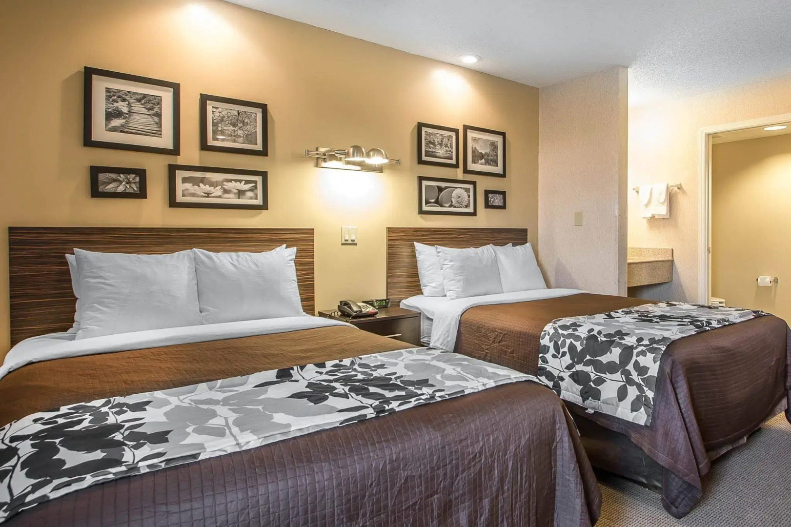 Sleep Inn & Suites Green Bay South