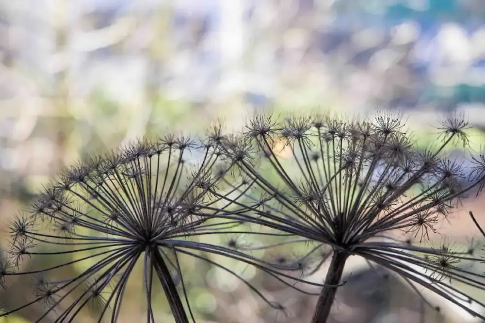 MyCityLofts - Oostzeedijk