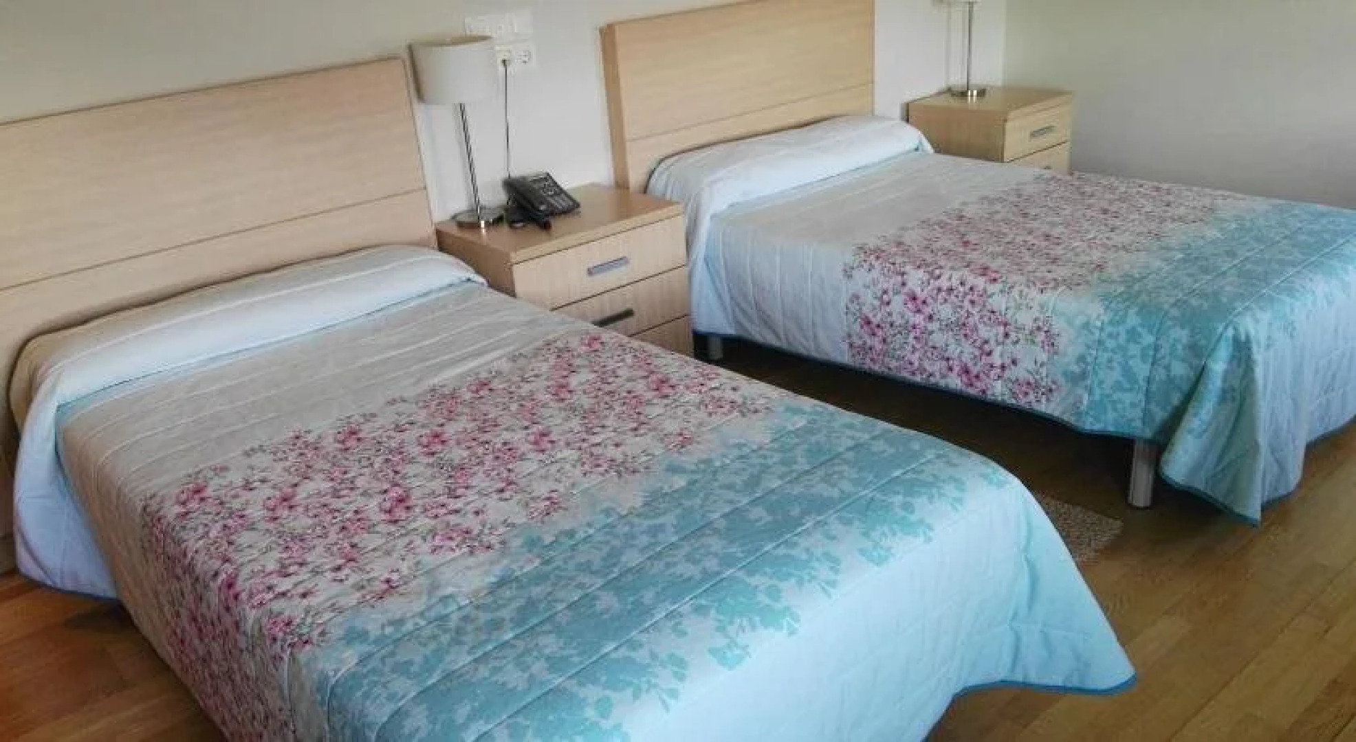 Hotel Jatetxea Santa Ana