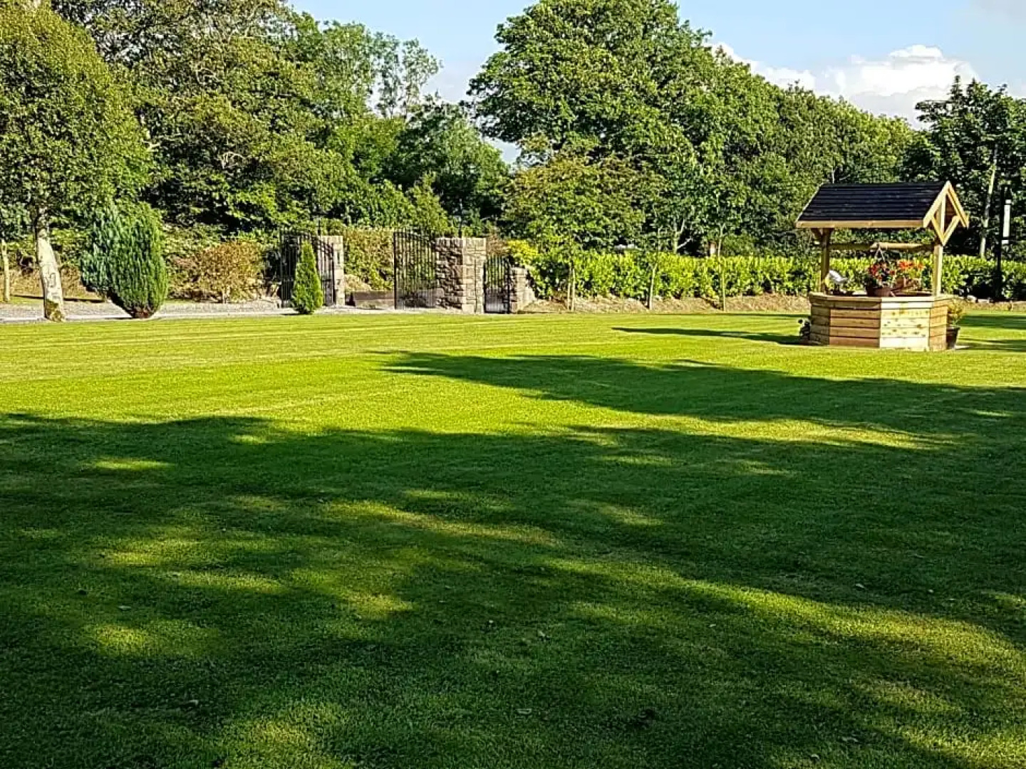 Murray's Mountain View