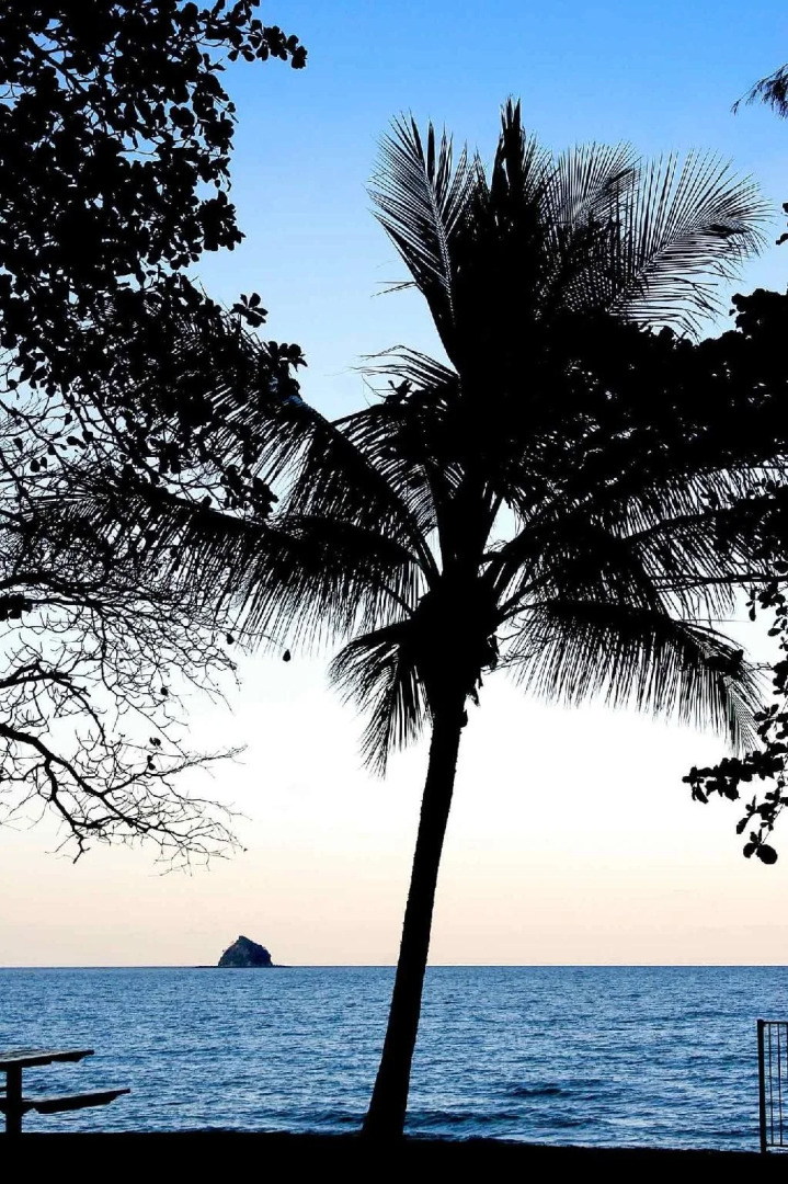 The Reef House Adults Retreat