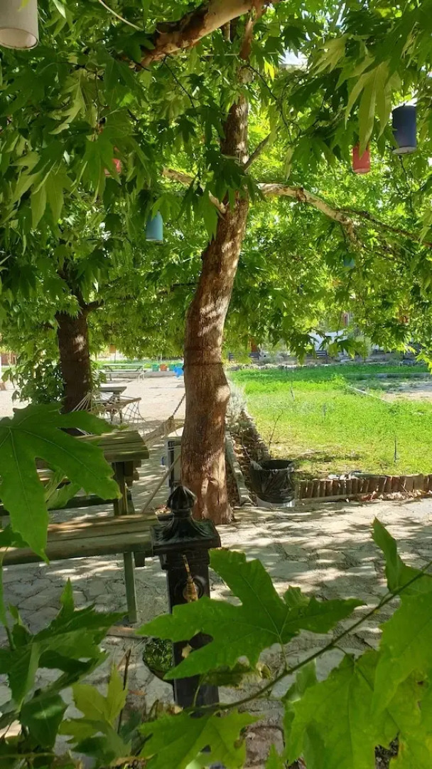 Zeyve Lavanta Tatil Köyü