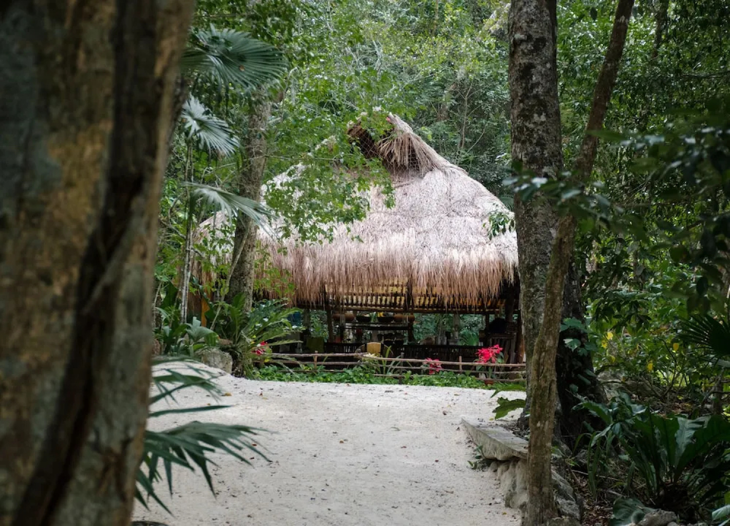 Glamping Mama Loo MM