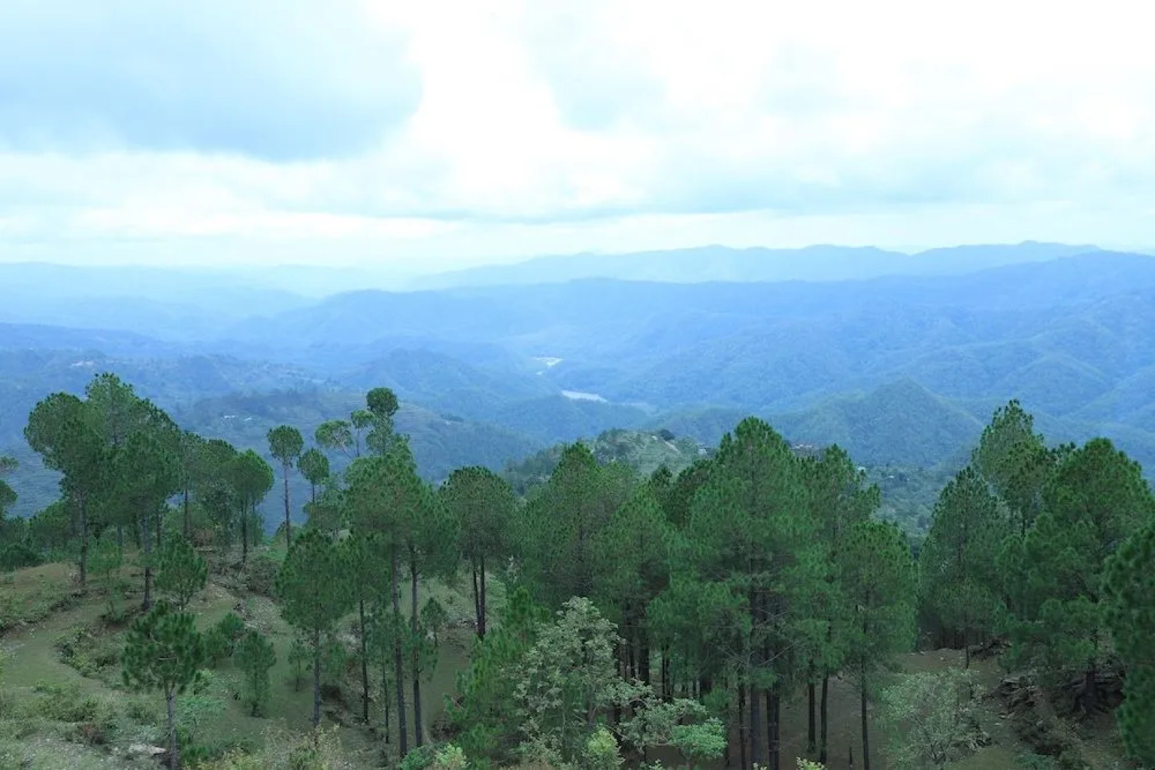 Periyar Herbal Resort