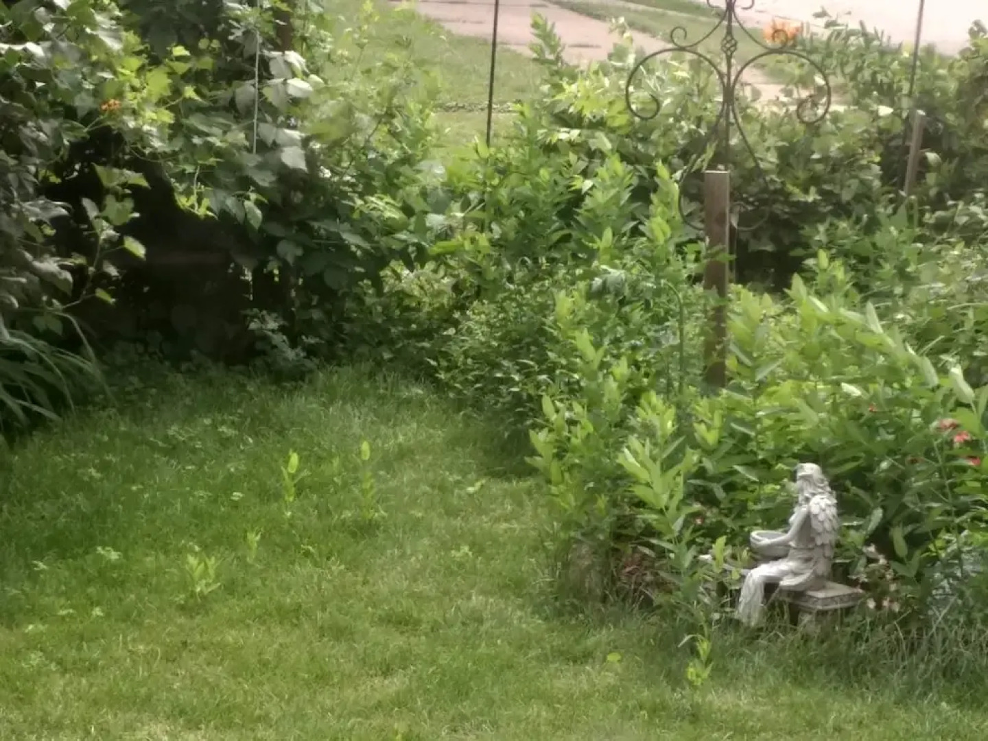 Queen Anne Guest House