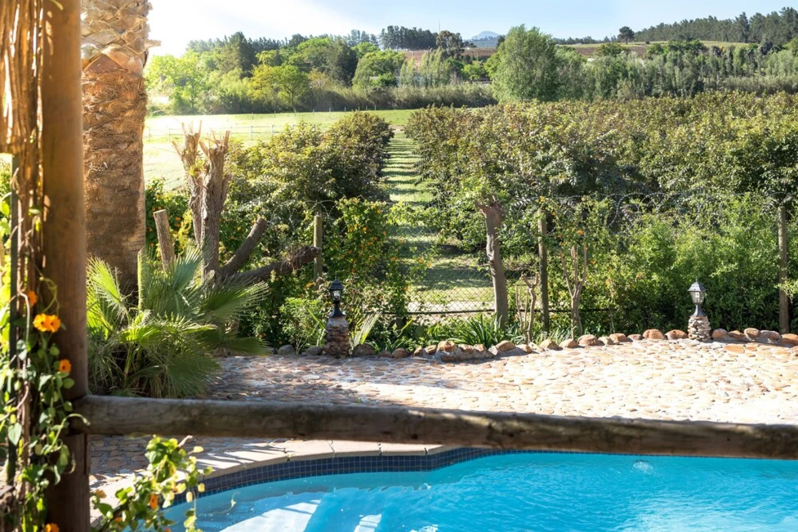 De Leeuwenhof Estate