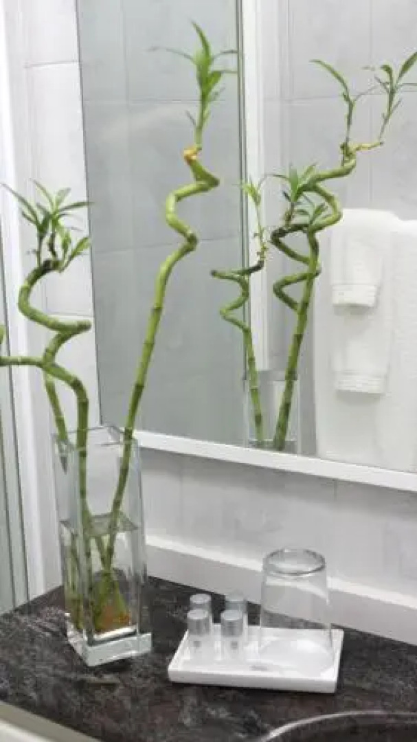 Apartamento Area Mayor