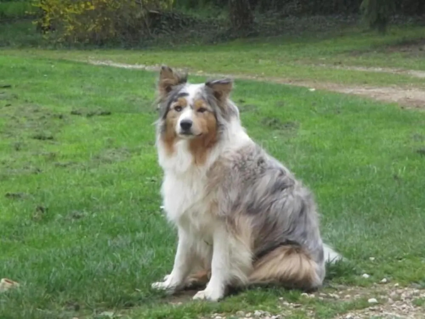 Le gîte de la Petite Résie