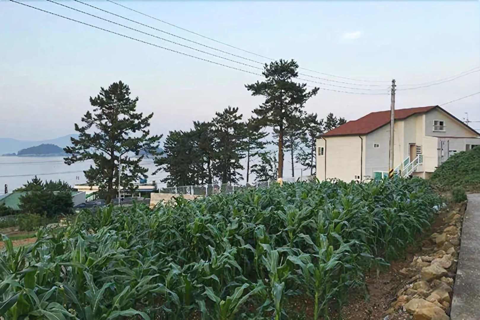 Yeosu Sea Side Pines Pension