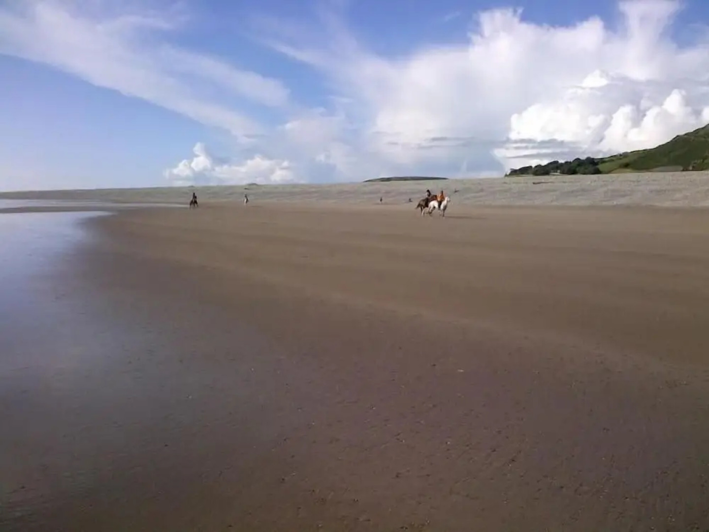 Salt Marsh Apartment