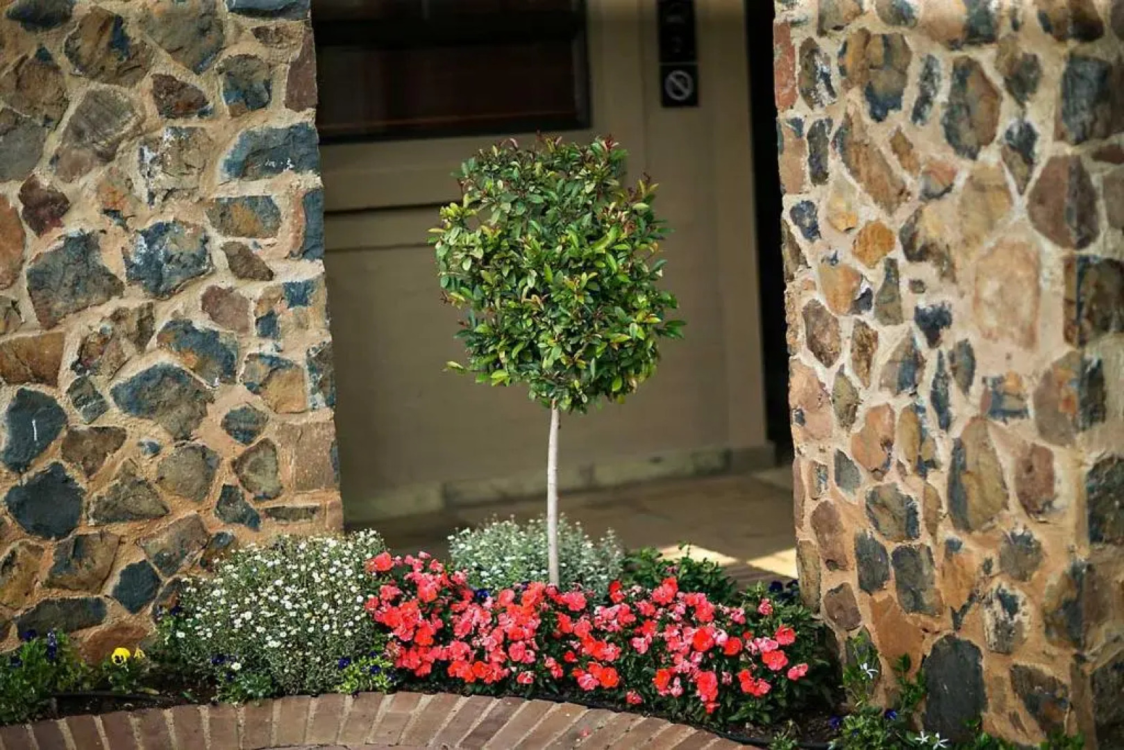 Mavuta Boutique Apartments