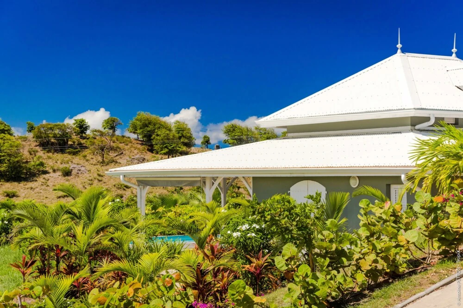 Palm Villas Martinique