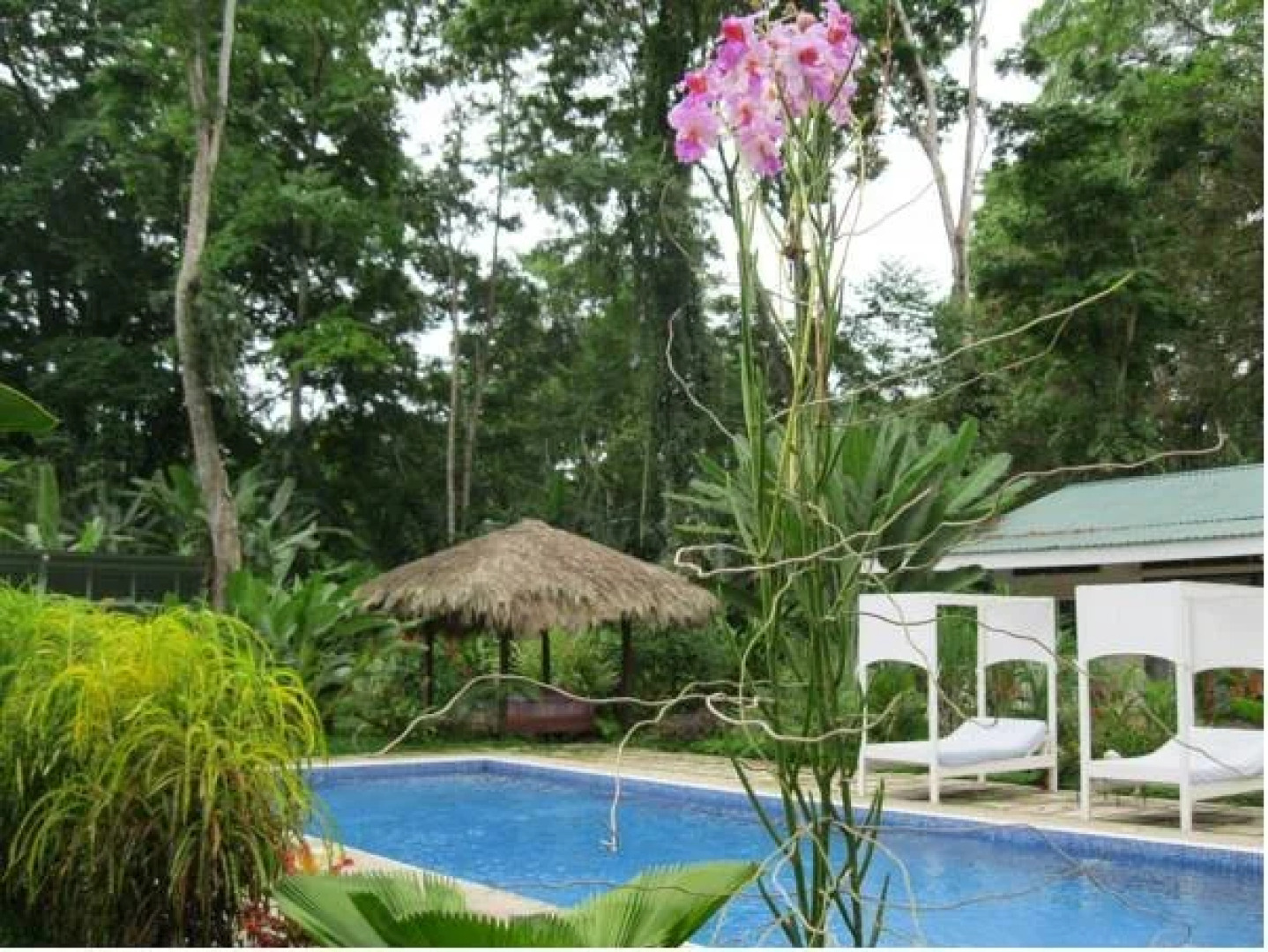 VIP Hotel Playa Negra