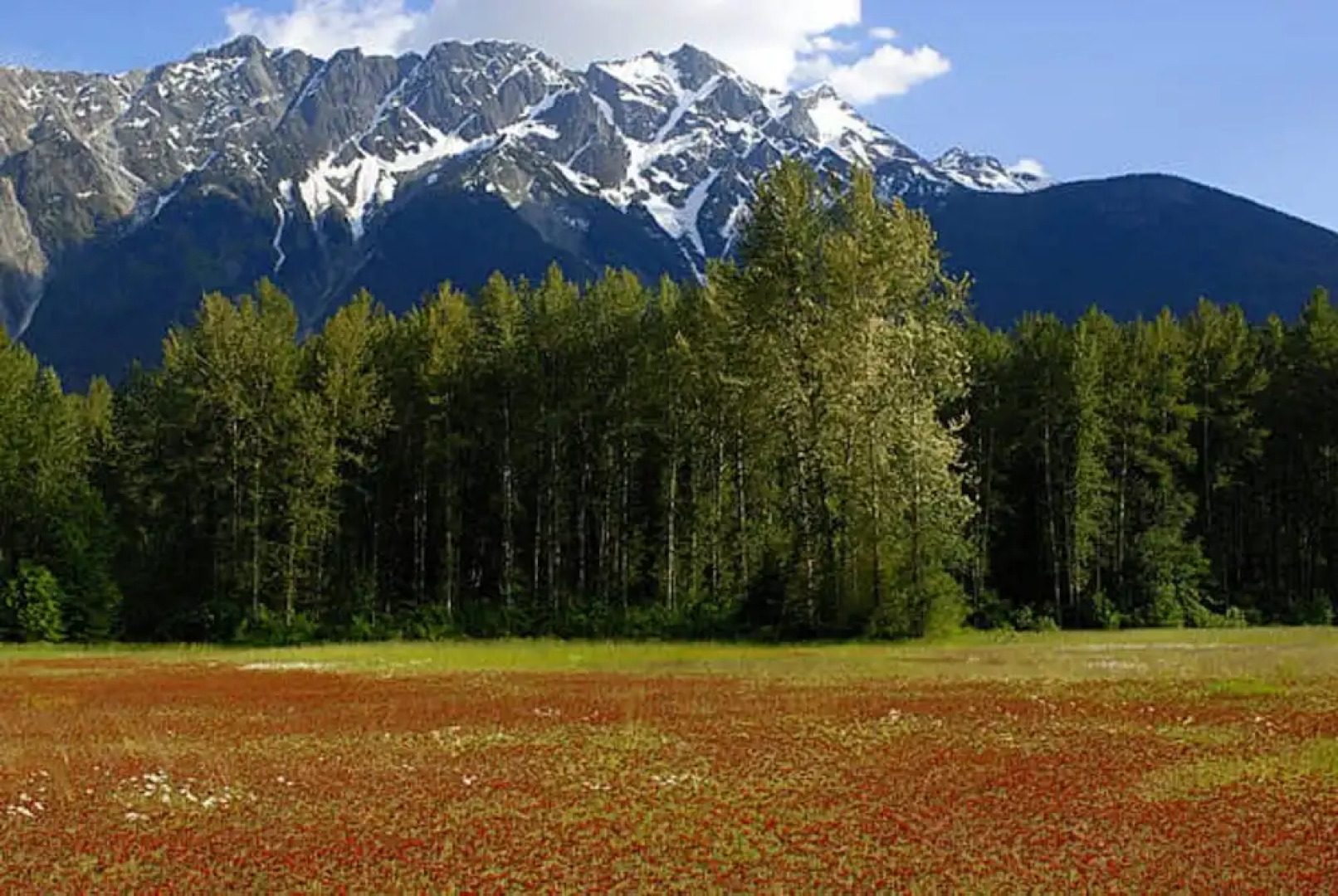 Pemberton Valley Lodge
