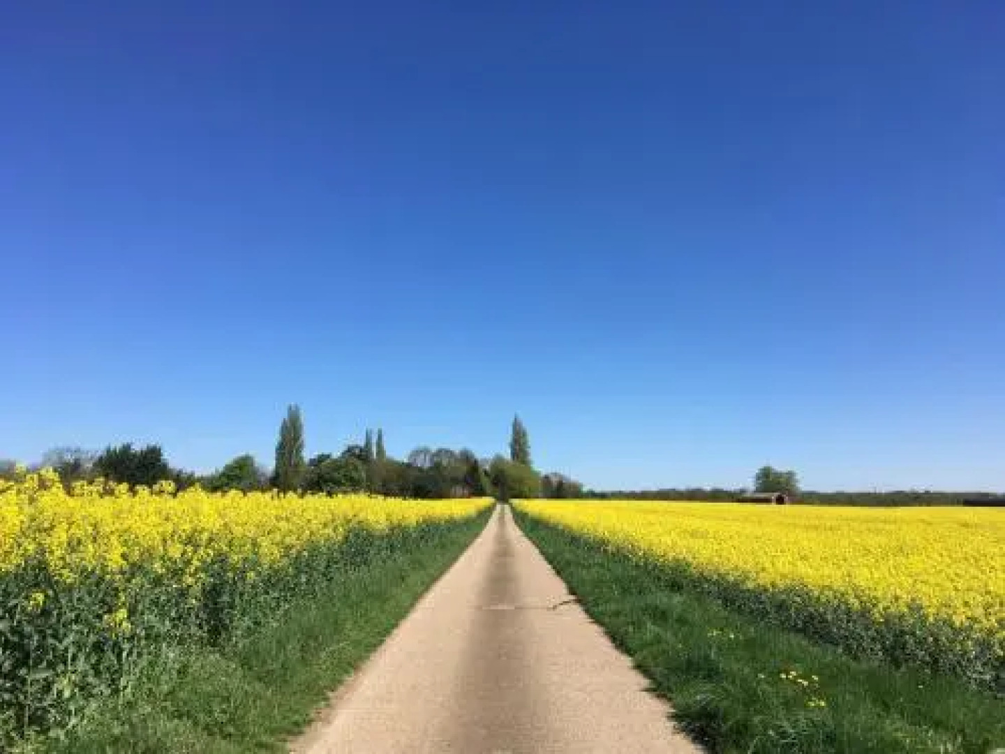 The Old Piggery Guest House & Yurts