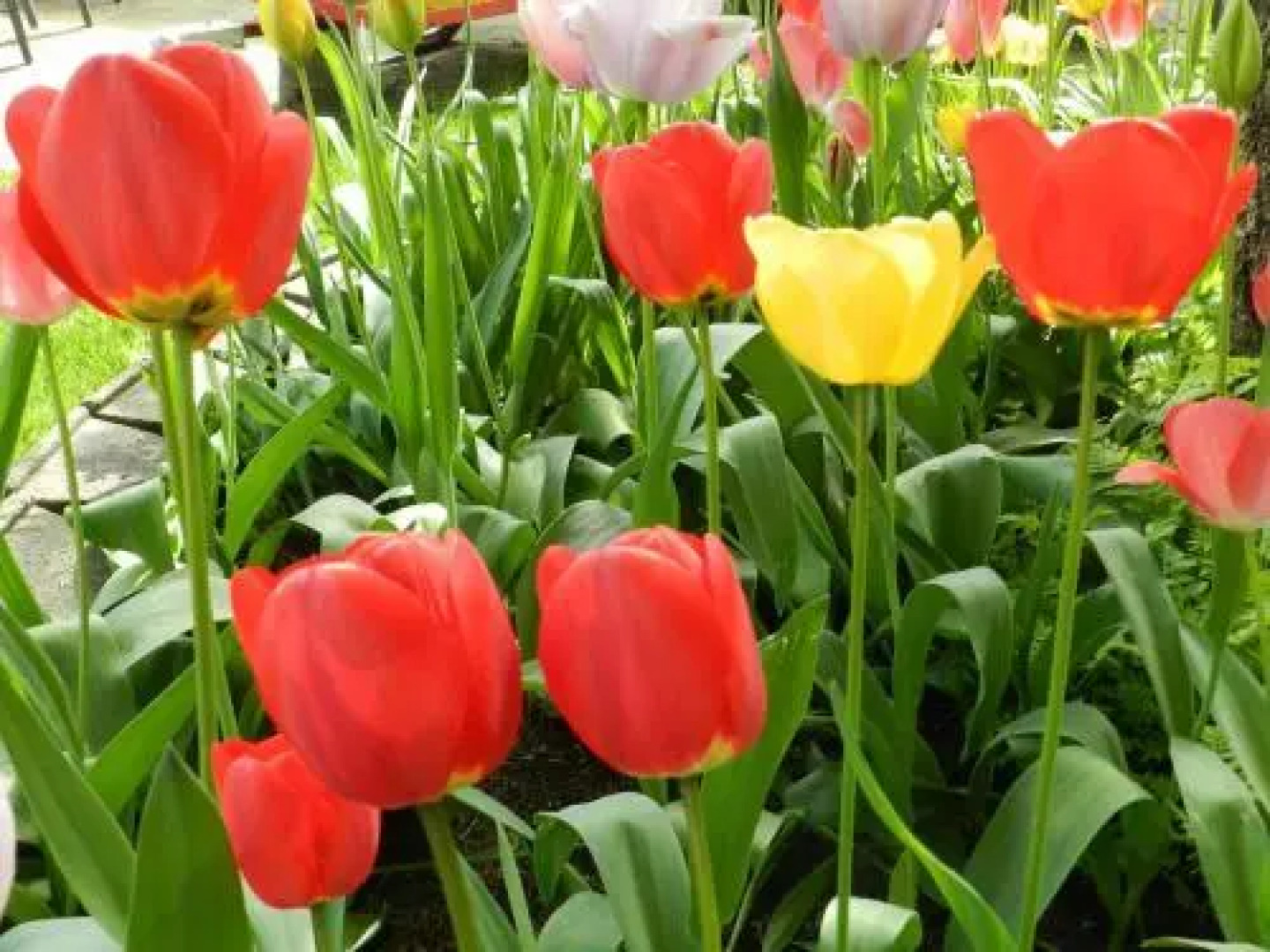 Serenity Bed and Breakfast