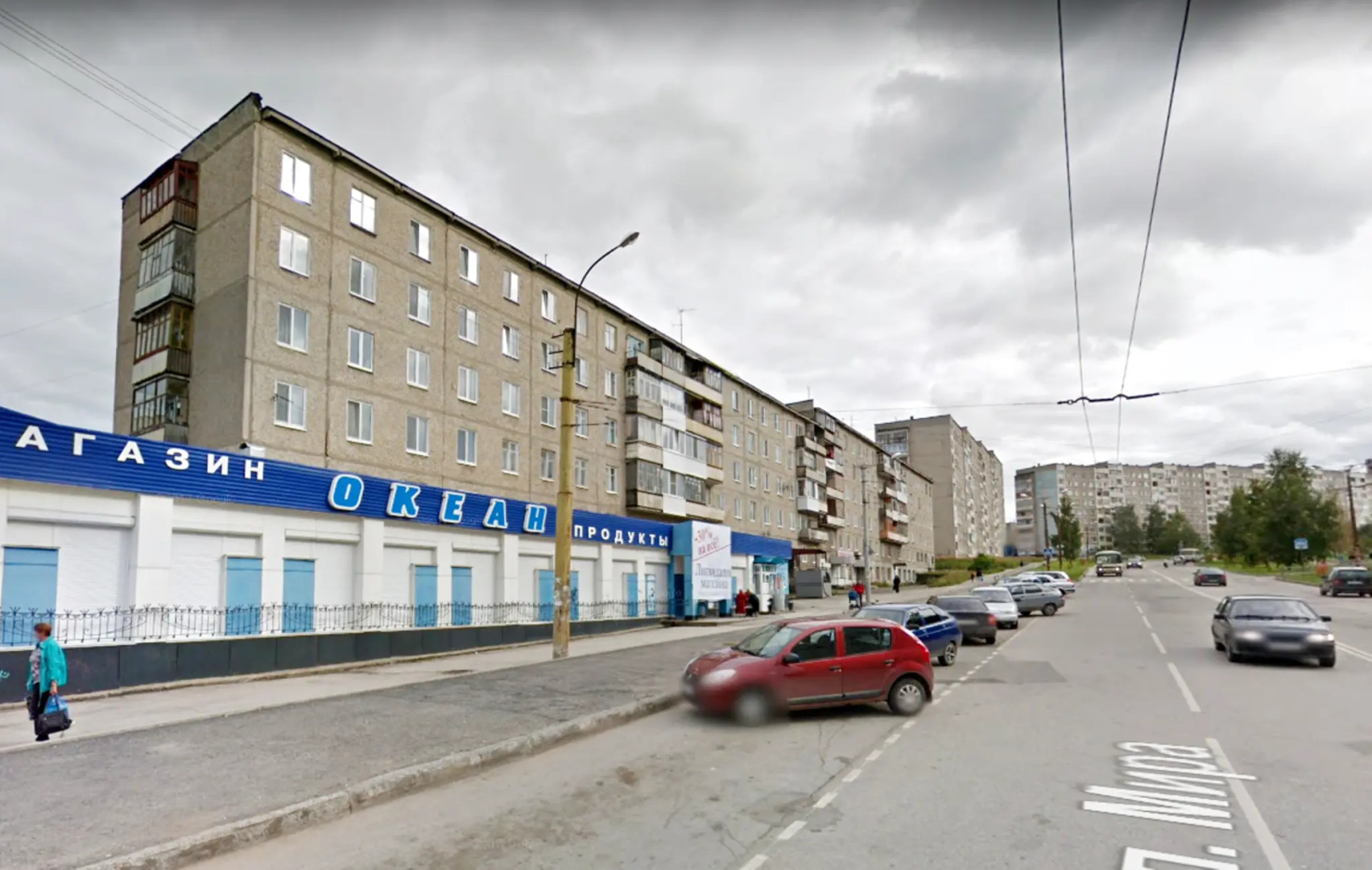 Барбарис на улице Мира 110