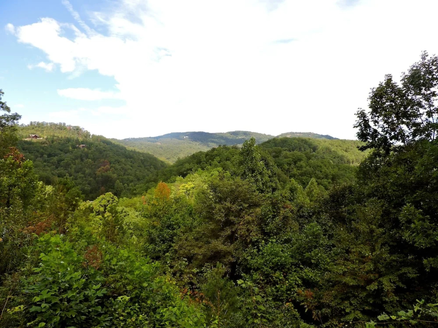 Wolfsong Lodge 5 Bedrooms 4.5 Bathrooms Cabin