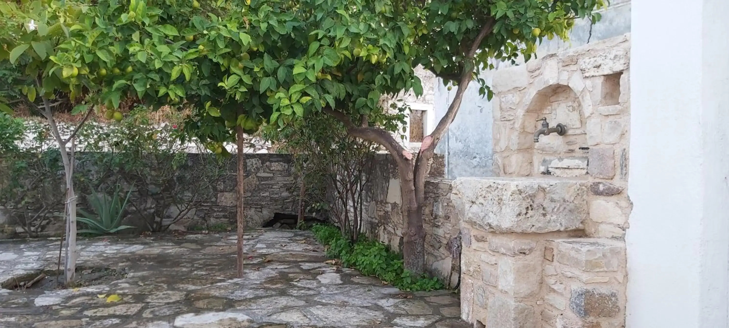 Traditional house in Asfendiou