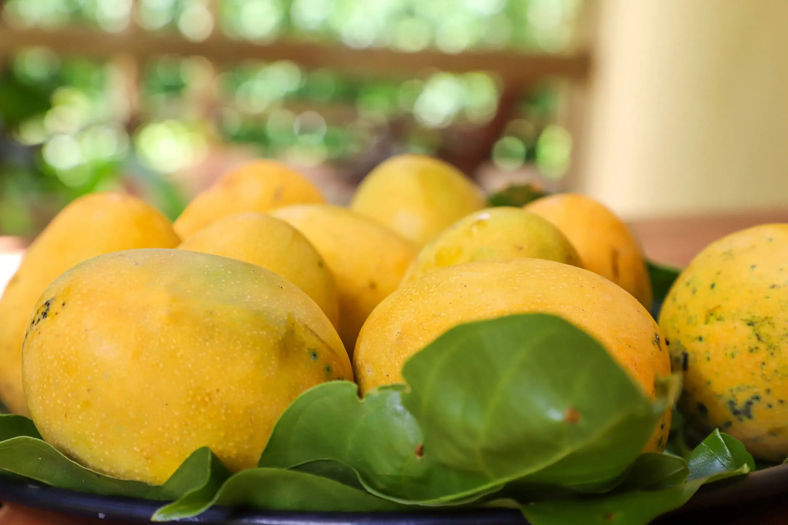 Hotel Fazenda Bela Vista