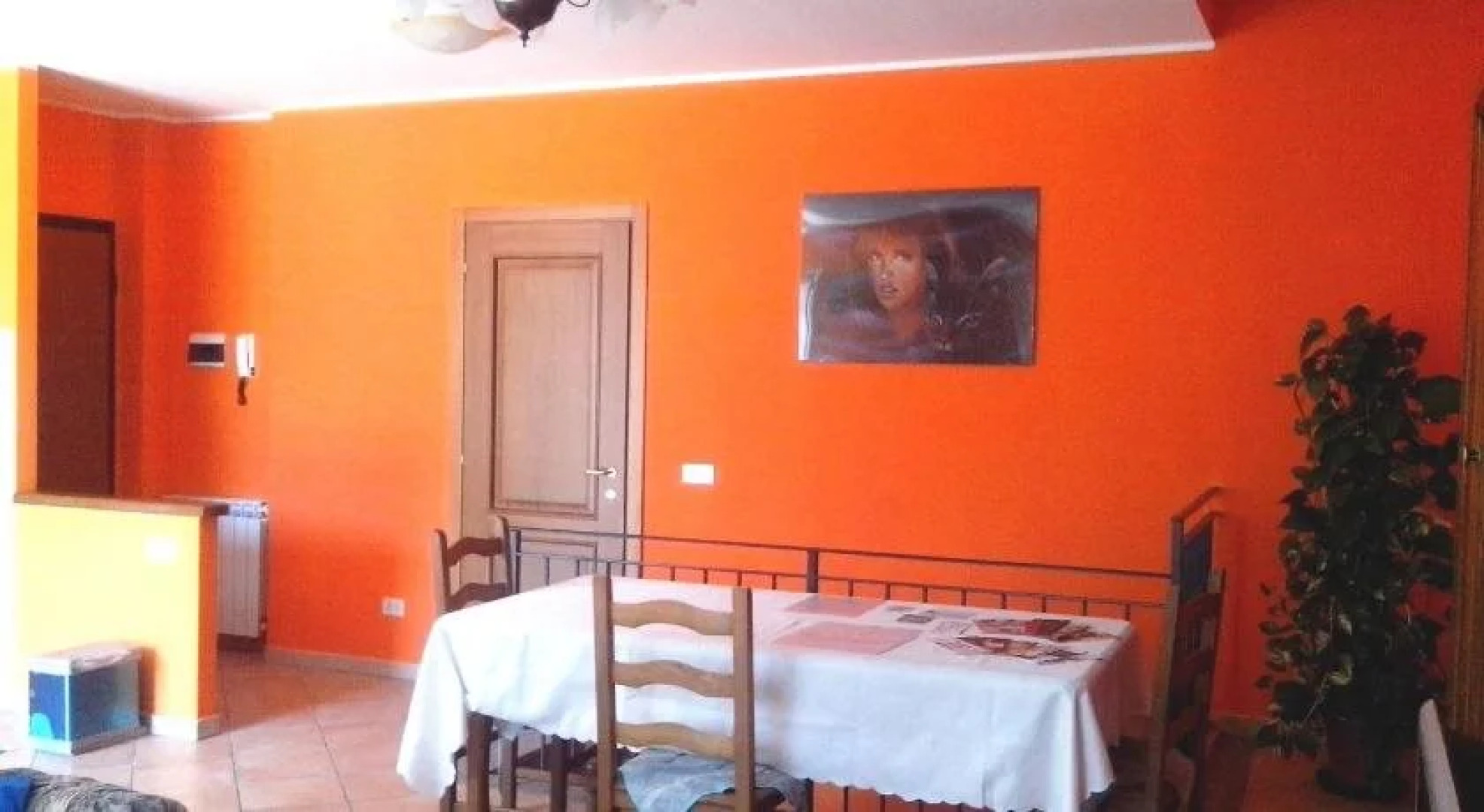 L'Erba degli Abrighi