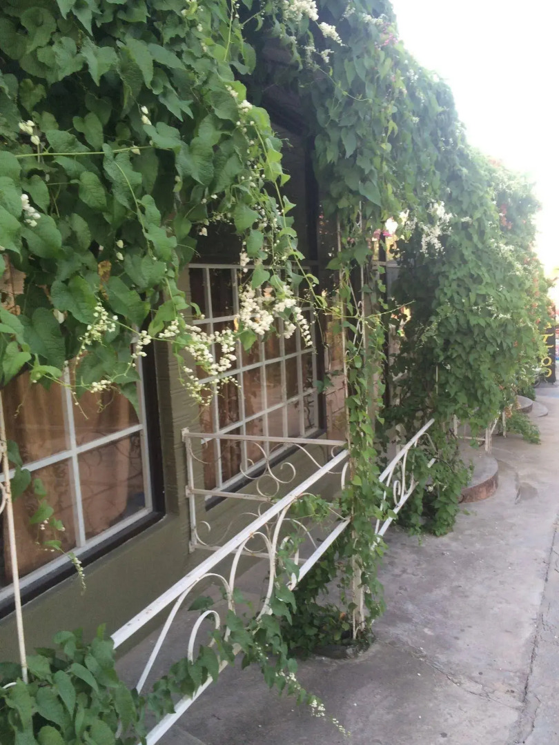 Supreeya Guesthouse - Hostel