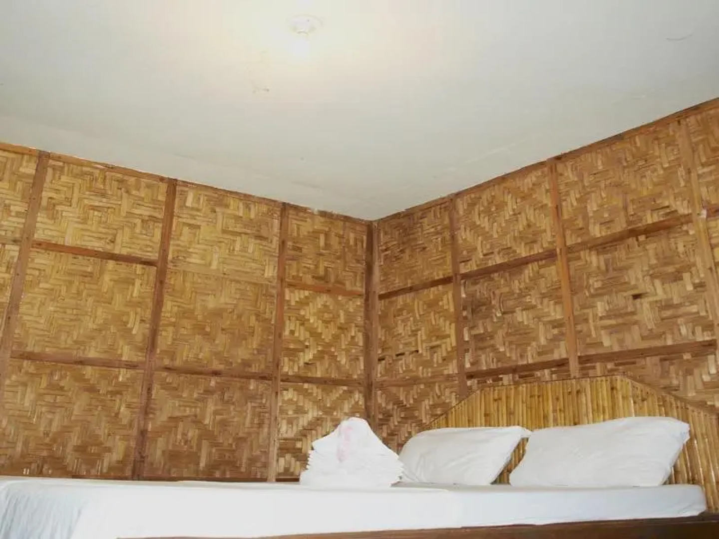 The Sharks Tail Dive Center