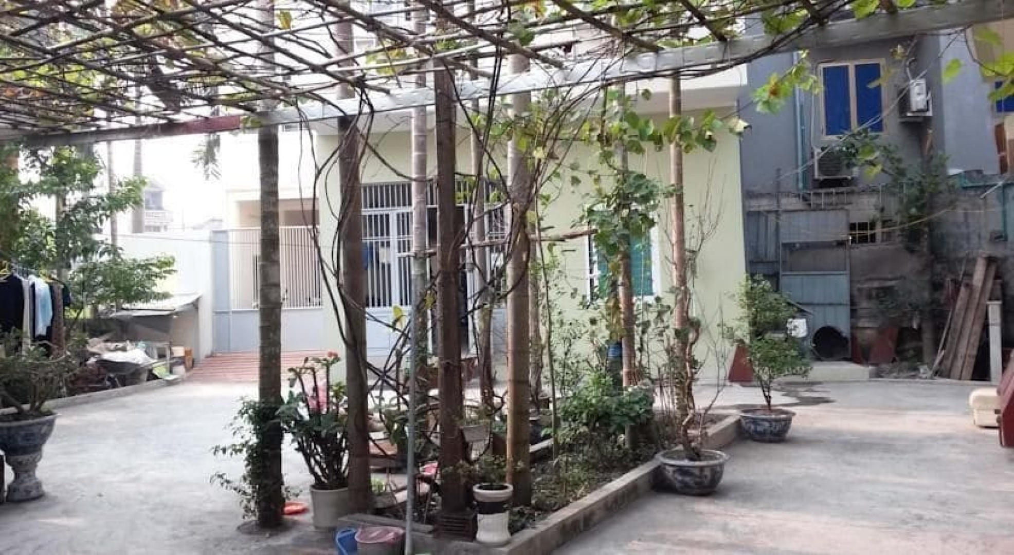 Sen Hotel Haiphong