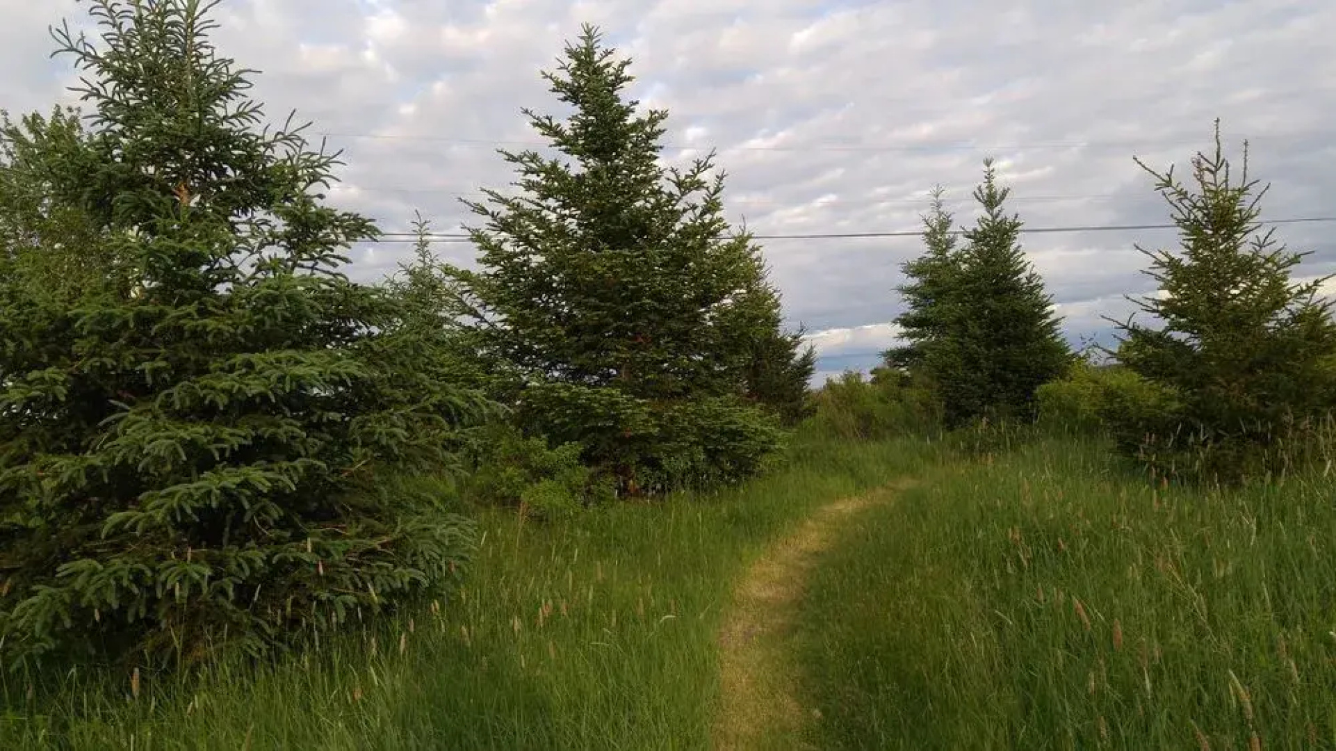 Windsbreath Celebrations and Retreats