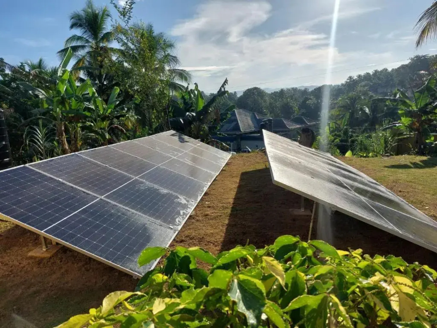 Griffiths Guest House