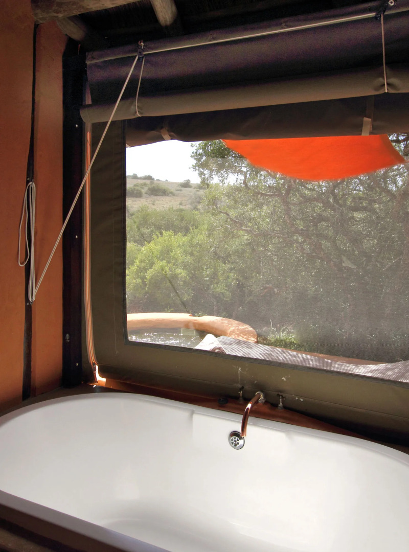 Safari Lodge - Amakhala Game Reserve