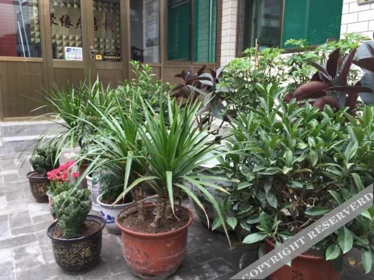 Pingyao Juyuanju Inn