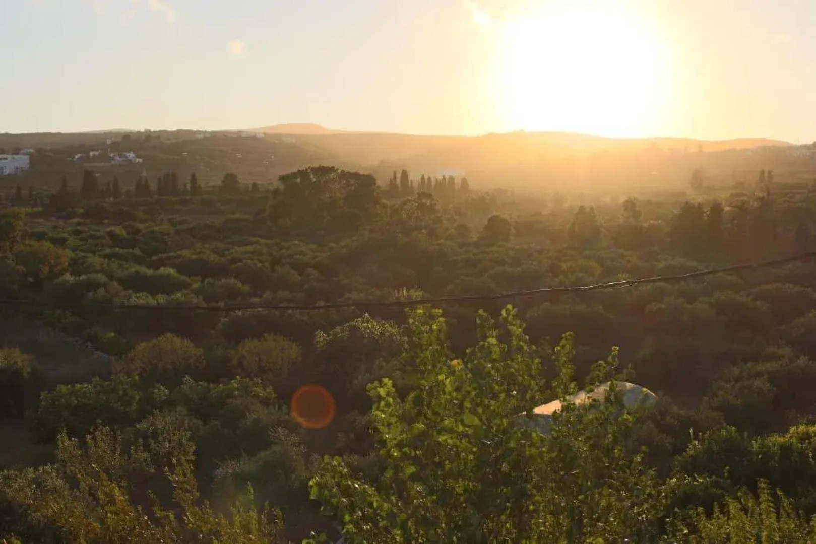 Theofilos Appartements