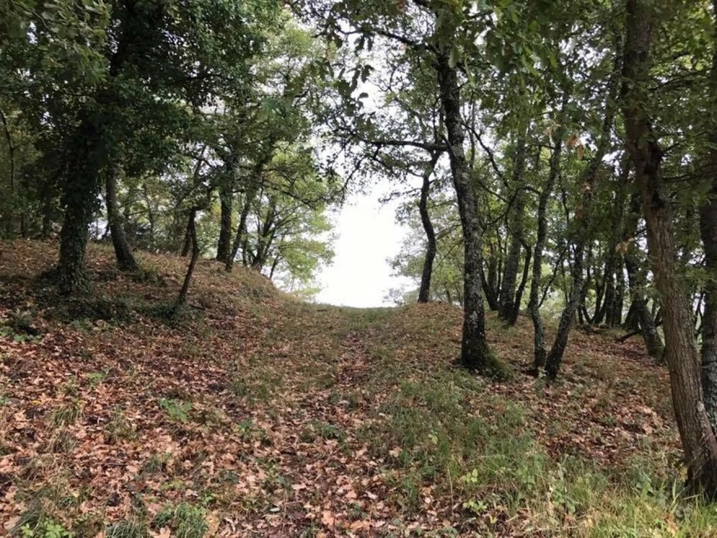 Villa With 4 Bedrooms in Palazzo Bovarino, San Venanzo, With Wonderful