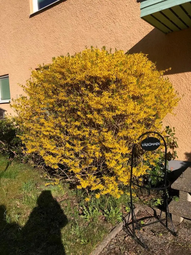 Big House Close to Stockholm City